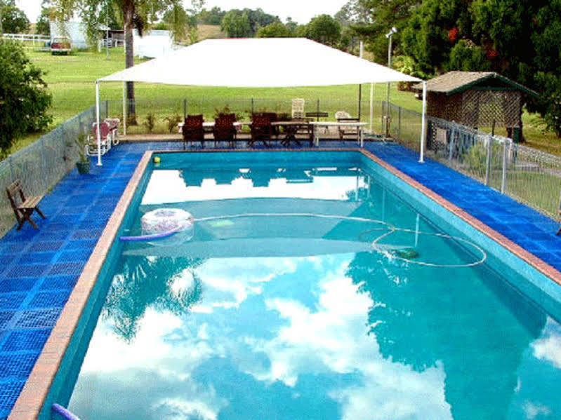 Jacaranda Motor Lodge Графтън Екстериор снимка